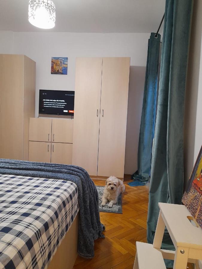 Apartament La Rossa Braszów Zewnętrze zdjęcie